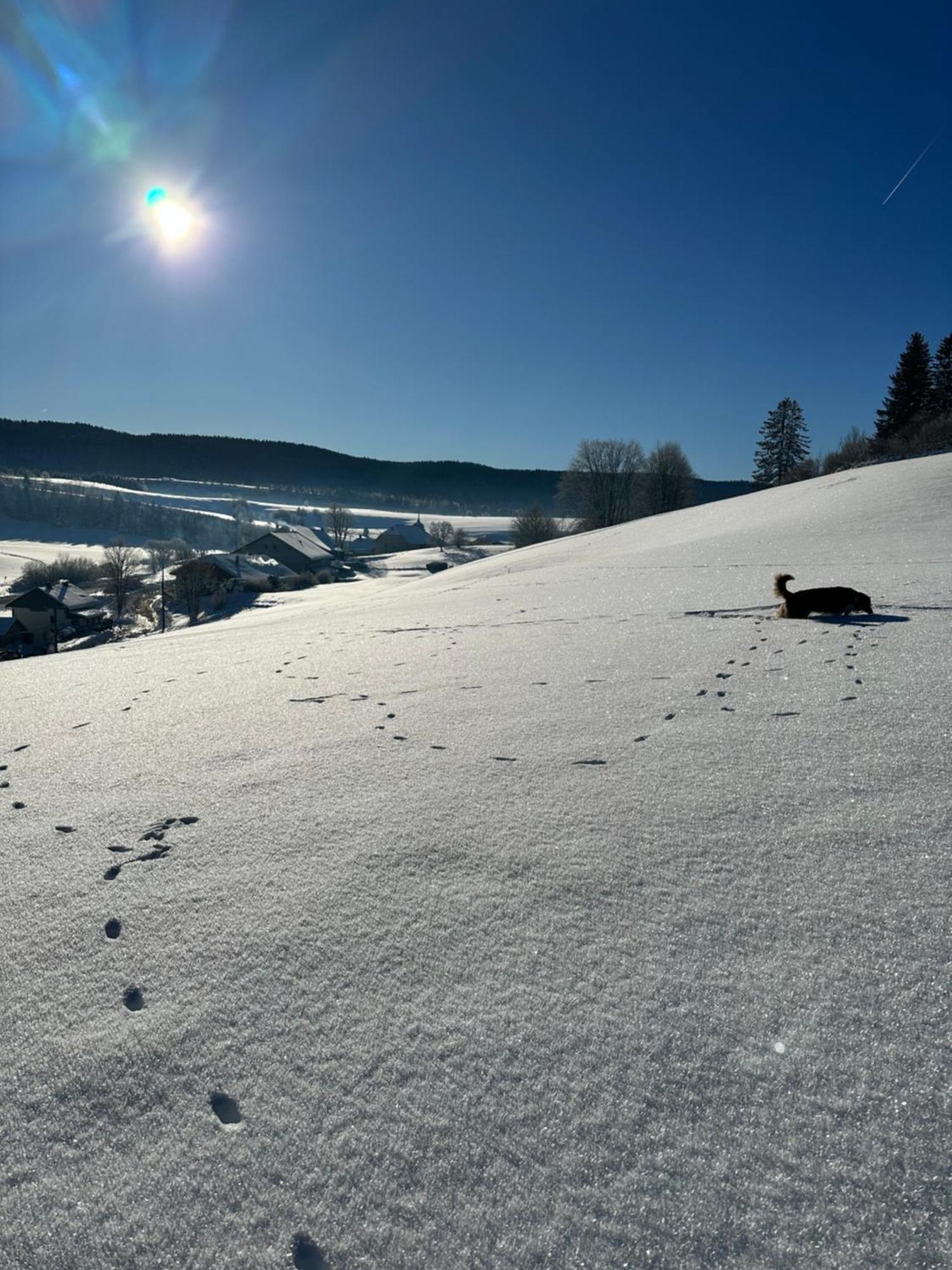 Le Belvedere Des Deux Lacs Le Brey et Maison du Bois Exterior foto